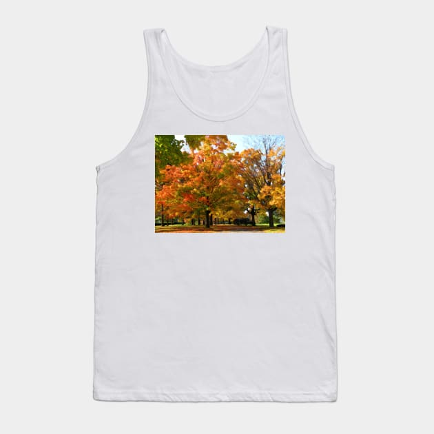 Fall colors Tank Top by vadim19